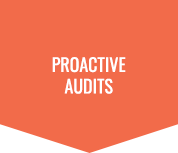 Proactive Audits