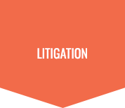 Employment Law Litigation